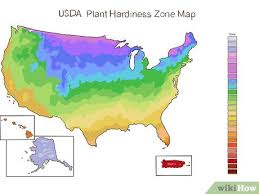 While depressing the clutch with your foot, move the gearstick out of gear before starting the car. How To Start A Vegetable Garden 15 Steps With Pictures