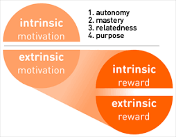 Extrinsic motivation represents motivational drivers that focus on external rewards, like getting a raise or avoiding punishment. Intrinsic Vs Extrinsic Rewards And Their Differences From Motivations Lithium Community