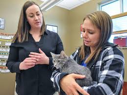 Be a part of the furkids revolution! Adopt A Cat For Free At Pocatello Animal Shelter Through Nov 16 Local Idahostatejournal Com