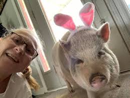 Am Esther Benneth new in this group hope I am welcome