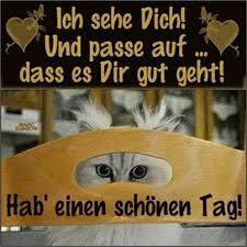 Pin Von Julia Hendro Auf Grusse Guten Morgen Lustig Guten Morgen Bilder Guten Morgen