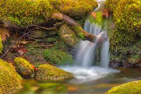 Willard brook state forest contains 2,597 acres and is located in the towns of ashby and townsend, 50 miles from boston. Massachusetts Waterfall Photography Images Of Willard Brook State Forest In Ashby Massachusetts Juergen Roth