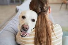 When is International Dog Day? - News - Assistance Dogs Australia