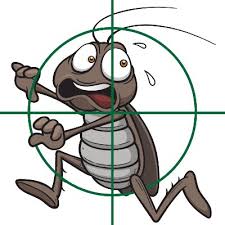 Best mesquite pest control only uses the latest technology when it comes to protecting your family and pets. The 10 Best Pest Control Companies In Mesquite Tx With Free Quotes