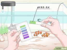 3 Ways To Cycle A Saltwater Tank Wikihow