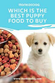 Which Is The Best Puppy Food To Buy Dog Food Recipes Healthy Dog Food Recipes Best Puppy Food