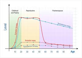 Your doctor may also call these estradiol, estrone (e1), estradiol. Estradiol And Estrogen Levels