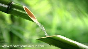 Zen Spirit Japanese Music Relaxing Songs And Sounds Of Nature Musica Naturaleza Musica Relajante Musica De Relajacion