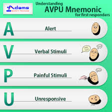Understanding Avpu Mnemonic For First Responders Adams Safety