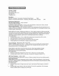 professional business resume templates