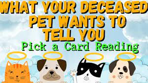 Dream about your pet or visits from your pet is usually the most vivid experience you will ever have of communicating with your deceased pet. Signs Your Deceased Pet Is Visiting You How To Cope With Death Youtube