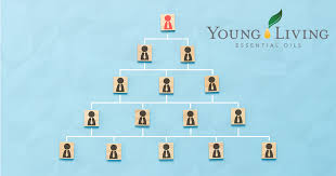 As a young living member, you'll find more than essential oils—you'll find a new lifestyle. Class Action Young Living Nothing More Than An Unlawful Pyramid Scheme