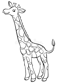 Set off fireworks to wish amer. Coloring Giraffe Stock Illustrations 1 925 Coloring Giraffe Stock Illustrations Vectors Clipart Dreamstime