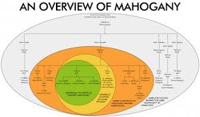 Mahogany Mixups The Lowdown The Wood Database