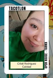 Toyoda Gosei Rubber...