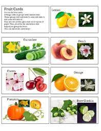 Check spelling or type a new query. Fruit Cards For Mystery Science Unit Power Of Flowers By Lisa Morrocco