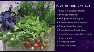 This Container Recipe Is Not Only Beautiful But Makes A Greats A Complete Chef S Package Oregano Plant Vegetable Gardening Books Container Gardening Vegetables