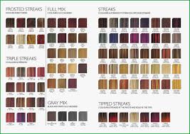 L Oreal Luo Color Colour Chart Cogent Luocolor Color Chart