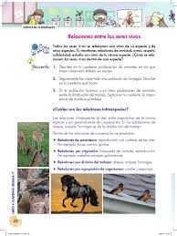 We did not find results for: Libro 4 Guia Semanal 17 22 25 1 2 Naty Pdf Hormiga Avispa