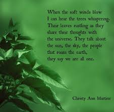 Christy Ann Martine Christy Ann Martine Instagram Photos And Videos Nature Poem Nature Quotes Human Nature Quotes