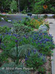 Going Waterwise At Rollingwood City Hall Digging