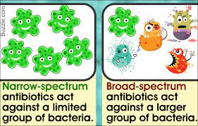 Narrow Spectrum Vs Broad Spectrum Antibiotics A Comparative Analysis Health Hearty Broad Spectrum Antibiotic Spectrum