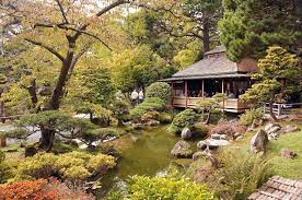 Things to do in san francisco. A Brief History Of San Francisco S Japanese Tea Garden