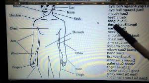 Imagine that you are in an english speaking country and you need to see a doctor, for example. Cantonese Vocabulary Body Parts Youtube