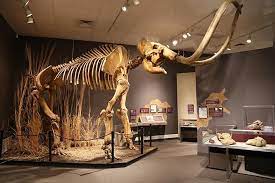 Episcopal church of the ascension • twin falls, id. 24 Best Fun Things To Do In Twin Falls Idaho Attractions Activities