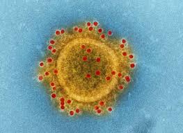 This subreddit seeks to monitor the spread of the. Main Topic Coronavirus Charite Universitatsmedizin Berlin