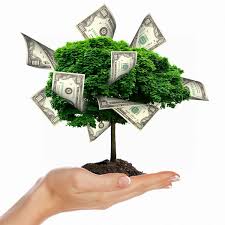 Áˆ Money Tree Plant Stock Pictures Royalty Free Money Tree Images Download On Depositphotos Read up on other training techniques to keep. áˆ money tree plant stock pictures
