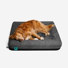 We make big comfortable beds that big dogs love. Bykatiesmall Chinese Style New Year Pet Makeover Funny Clothes Dragon Dance Dog Festival Blue Lucky Cosplay Costume Pet Supplies Apparel Accessories