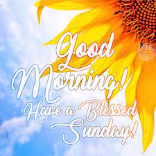 We did not find results for: Good Morning Have A Blessed Sunday Download On Funimada Com