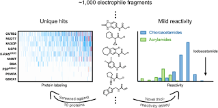 Https Pubs Acs Org Doi Pdf 10 1021 Jacs 9b02822