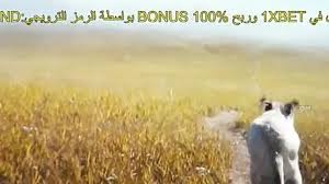 Most anticipated film of spring 2019. Filmvilag2 Filmek 2019 Es Egy Kutya Negy Utja A Dog S Journey