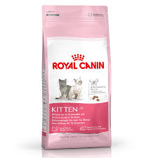 8 Off On Royal Canin Kitten 4kg Royal Canin Dog Food Royal Canin Kitten Food