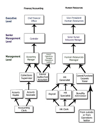 Career Ladder For Administration And Office Finance Duties Financial Senior Management Operations Management