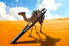 A camel cannot go through the eye of a needle. What Is The Eye Of The Needle Monergism