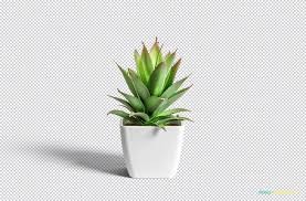Free Flower Pot Mockup Zippypixels Amazing Photoshop Tutorials Flower Pots Photoshop Poster
