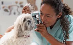 CCLB 07-14-08 A 15 CCLB.qxd