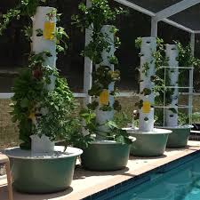 Hydroponics uses moving water enriched with minerals there are plenty diy systems that will allow you to put aeroponics into practice at home through diy. Grow Your Own Fresh Food Year Round Tower Garden