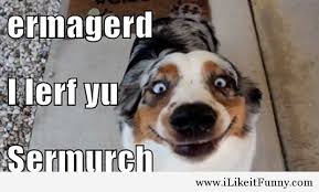 Funny Dog Quotes Life - DesignCarrot.co via Relatably.com