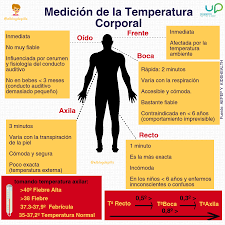Medicion De La Temperatura Corporal El Blog De Pills Imagenes De Medicos Auxiliar De Enfermeria Enfermeria Basica