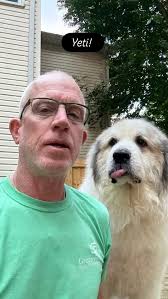 When dad says "cheese"! Pittie Party . Mabel,Marvin,Hope, Charm, Libby,  Lady Lynn, and Scrappy! #gooddog #dogdad #rescuedog #pitbull  #pitbullsofinstagram #americanstaffordshireterrier #americanbullybreed  #pitbulls @dogsquad_sc