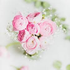 We did not find results for: Light Pink Flowers White Background Novocom Top