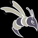 Defiance Girls College ID Camp