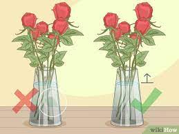 Then, fill the vase with warm, filtered water and let it sit for a few minutes. 3 Ways To Revive Roses Wikihow