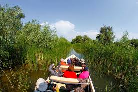 Copii sub 7 ani călătoresc gratis. Excursie La Letea Excursii In Delta Dunarii Cu Ibis Tours