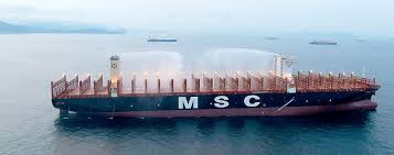 It only takes seconds to test flame detectors quickly and safely with talentum's flame detector tester. Dnv Gl Awards Msc New Container Ship Fire Safety Notation