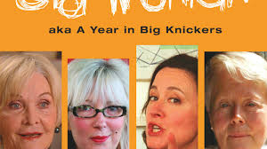 The Secret Diary of a Grumpy Old Woman by Judith Holder